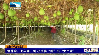 新时代的我们 | 温林珍：七年磨一剑 小瓜蒌“种”出“大产业”