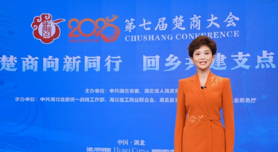 这，就是楚商回乡的底气！