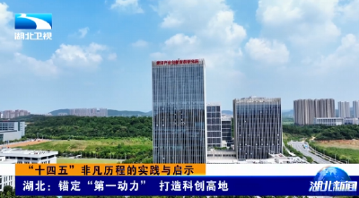 “十四五”非凡历程的实践与启示 | 湖北：锚定“第一动力 ” 打造科创高地
