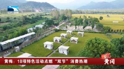 黄梅：18项特色活动点燃“双节”消费热潮