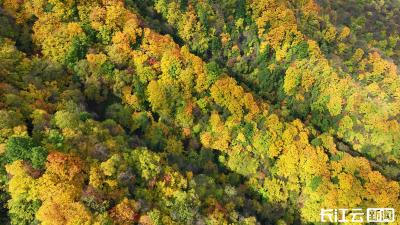神农架秋景正式上线 华中屋脊迎来年度最美季节