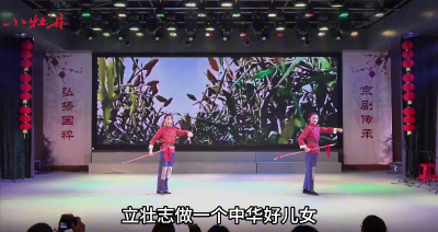 小牡丹—《平原作战》选段