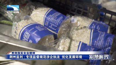 贯彻落实全会精神｜荆州监利：专项监督规范涉企执法 优化发展环境