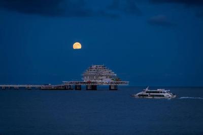 快看！今晚的“XXXL月亮”你拍到了吗？比平时大14%、亮30%