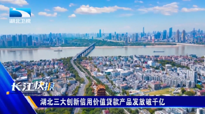 湖北三大创新信用价值贷款产品发放破千亿
