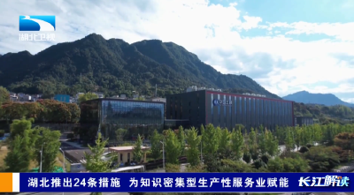 长江解读 | 湖北推出24条措施 为知识密集型生产性服务业赋能