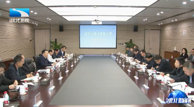 尔肯江·吐拉洪督办重点提案时强调  凝心聚力 为加快建成支点提供强大科技支撑