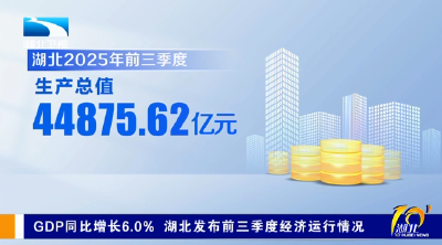 GDP同比增长6.0% 湖北发布前三季度经济运行情况