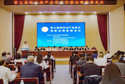营养不增肥！学者解锁稻米油甘油二酯“燃脂”奥秘