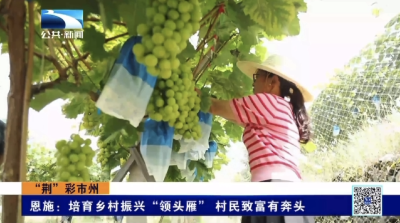恩施：培育乡村振兴“领头雁” 村民致富有奔头