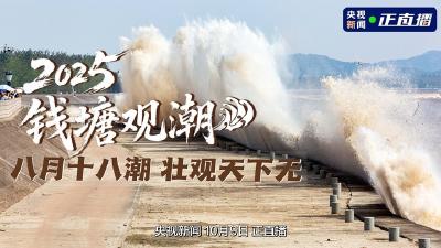 2025钱塘观潮 | 八月十八潮 壮观天下无