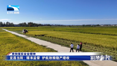 贯彻落实全会精神∣宜昌当阳：精准监督  护航秋粮稳产增收