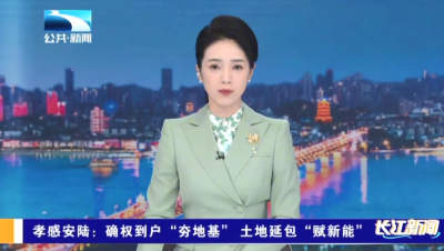 孝感安陆：确权到户“夯地基” 土地延包“赋新能”