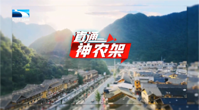 直通神农架 | 野生动物保护进入AI时代