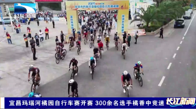 宜昌玛瑙河橘园自行车赛开赛 300余名选手橘香中竞速
