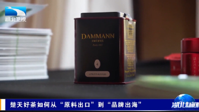 长江观察 | 楚天好茶如何从“原料出口”到“品牌出海”