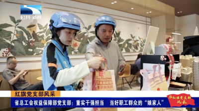 红旗党支部风采｜省总工会权益保障部党支部：重实干强担当 当好职工群众的“娘家人”