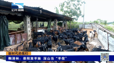 新时代的我们｜鞠清林：崇阳放羊妹 深山当“羊倌”