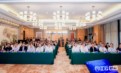 2025国际光化学技术与产业大会核心产业论坛在汉成功举办