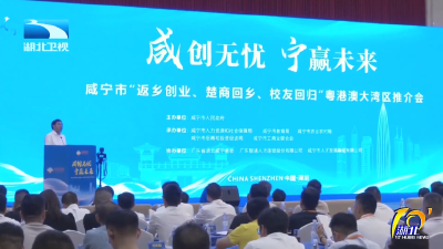 咸宁举办“双回双创”粤港澳大湾区推介活动
