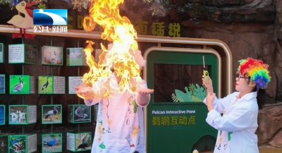 国庆八天乐丨武汉：水底升旗 奇幻实验 海洋乐园里的新玩法