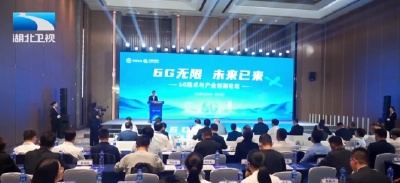 6G技术与产业创新平行论坛在武汉举行