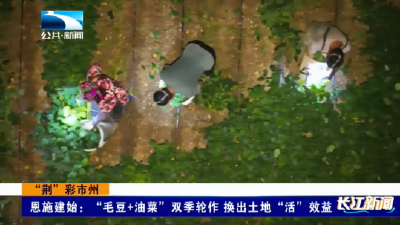 恩施建始：“毛豆+油菜”双季轮作 换出土地“活”效益