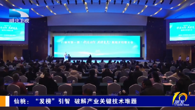 仙桃：“发榜”引智 破解产业关键技术难题