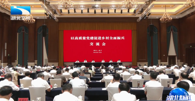 “以高质量党建促进乡村全面振兴”交流会在咸宁举行