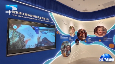 李殿勋在宜昌宜都市枝江市调研