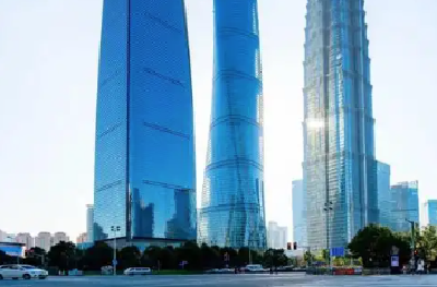 五年，栽下又一棵年轻的树