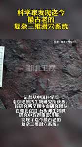 科学家发现迄今最古老的复杂三维潜穴系统