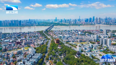 下一个五年，机遇在湖北 | 湖北发出区域联动最强音