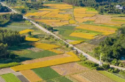 我国首次专门立法加强耕地保护和质量提升