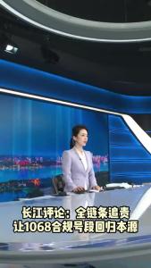 长江评论：全链条追责 让1068合规号段回归本源