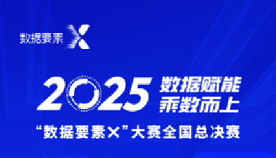 2025“数据要素×大赛”全国总决赛获奖名单出炉，湖北斩获多个奖项
