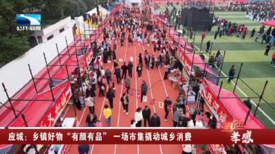 应城：乡镇好物“有颜有品” 一场市集撬动城乡消费