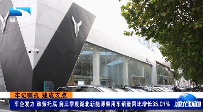 牢记嘱托 建成支点 | 车企发力 政策托底 前三季度湖北新能源乘用车销量同比增长35.01%