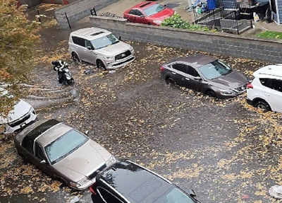 美国纽约突发暴雨引发严重洪灾 致2人死亡