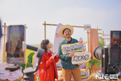 “交个朋友”团队溯源江汉大米：从江汉沃野到百姓餐桌，一碗好米的品质密码