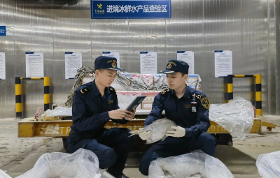 “鲜”启新程！鄂州花湖机场保障首批进口冰鲜鲳鱼