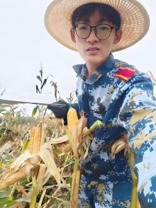 云端锐评|在玉米地用“千斤孝心”扛起担子，青春就该如此！