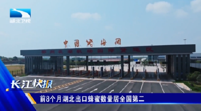 前8个月湖北出口蜂蜜数量居全国第二