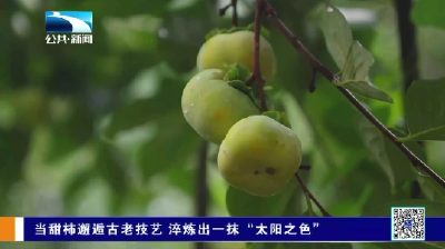 当甜柿邂逅古老技艺 淬炼出一抹“太阳之色”