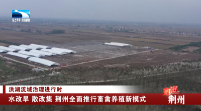 水改旱 散改集 荆州全面推行畜禽养殖新模式