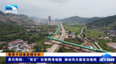 聚焦干部素质提升年 | 黄石阳新：“双百”机制精准破题 推动项目建设加速跑