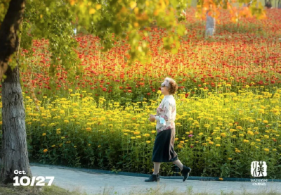 马上过节，免票！