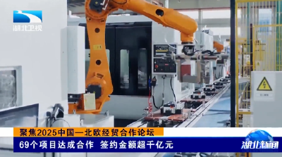 聚焦2025中国—北欧经贸合作论坛 | 69个项目达成合作 签约金额超千亿元