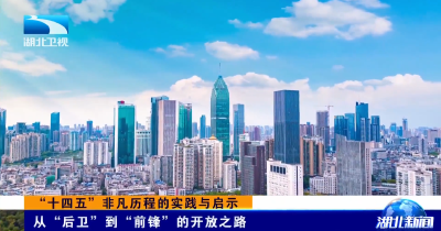 “十四五”非凡历程的实践与启示 | 从“后卫”到“前锋”的开放之路