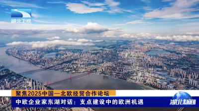 聚焦2025中国—北欧经贸合作论坛｜中欧企业家东湖对话：支点建设中的欧洲机遇